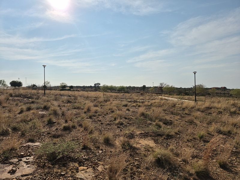 A view of a vacant residential plot featuring natural dry vegetation, perimeter fencing, and installed street lighting poles.