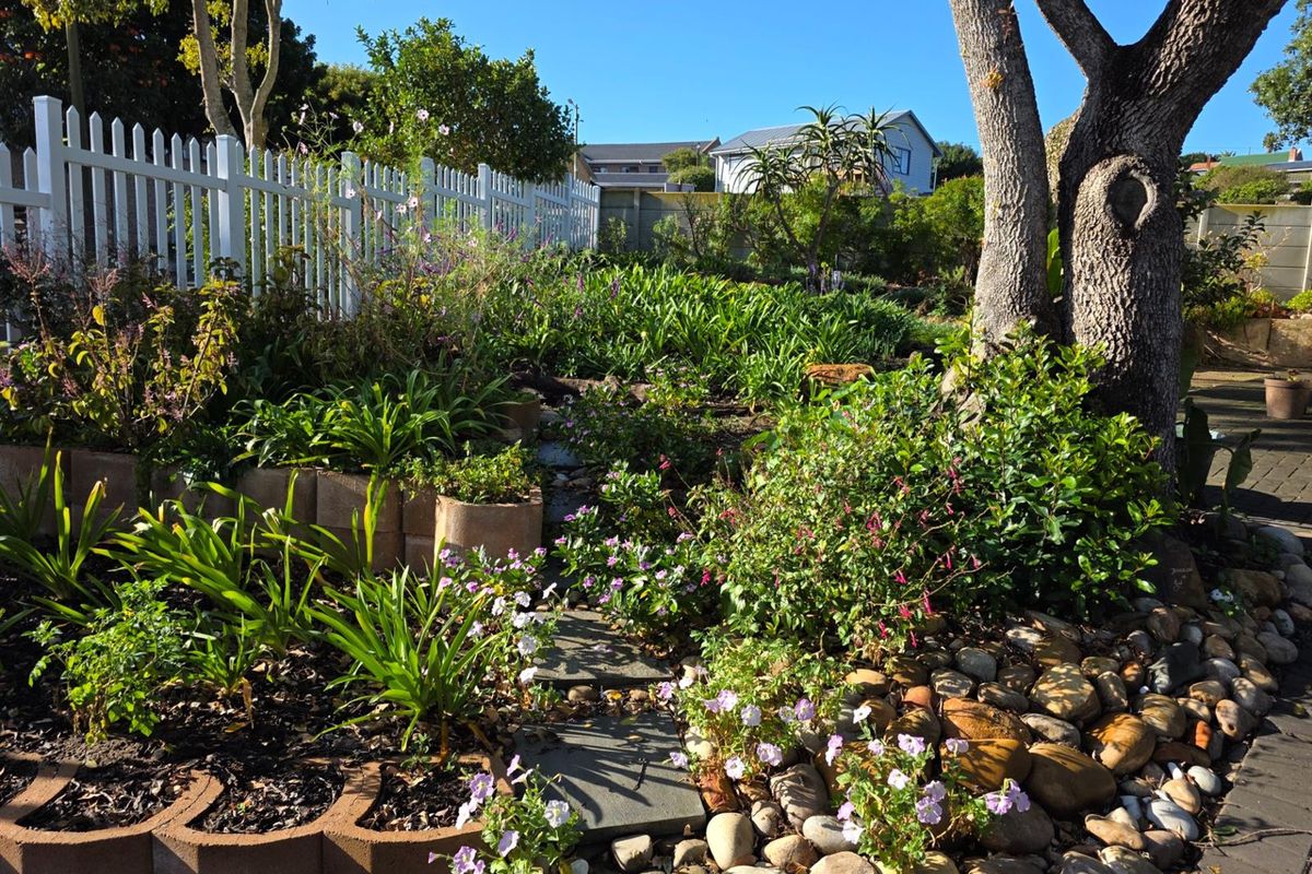 Garden Route Slow Living - A Cottage Retreat in Klein Brakrivier - Photo 2