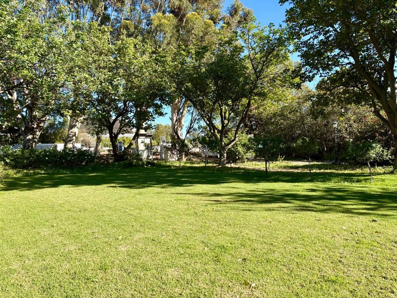 Prime Guesthouse and Commercial Opportunity in the Heart of Prince Albert - Photo 3