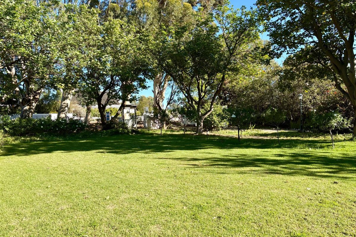 Prime Guesthouse and Commercial Opportunity in the Heart of Prince Albert - Photo 3