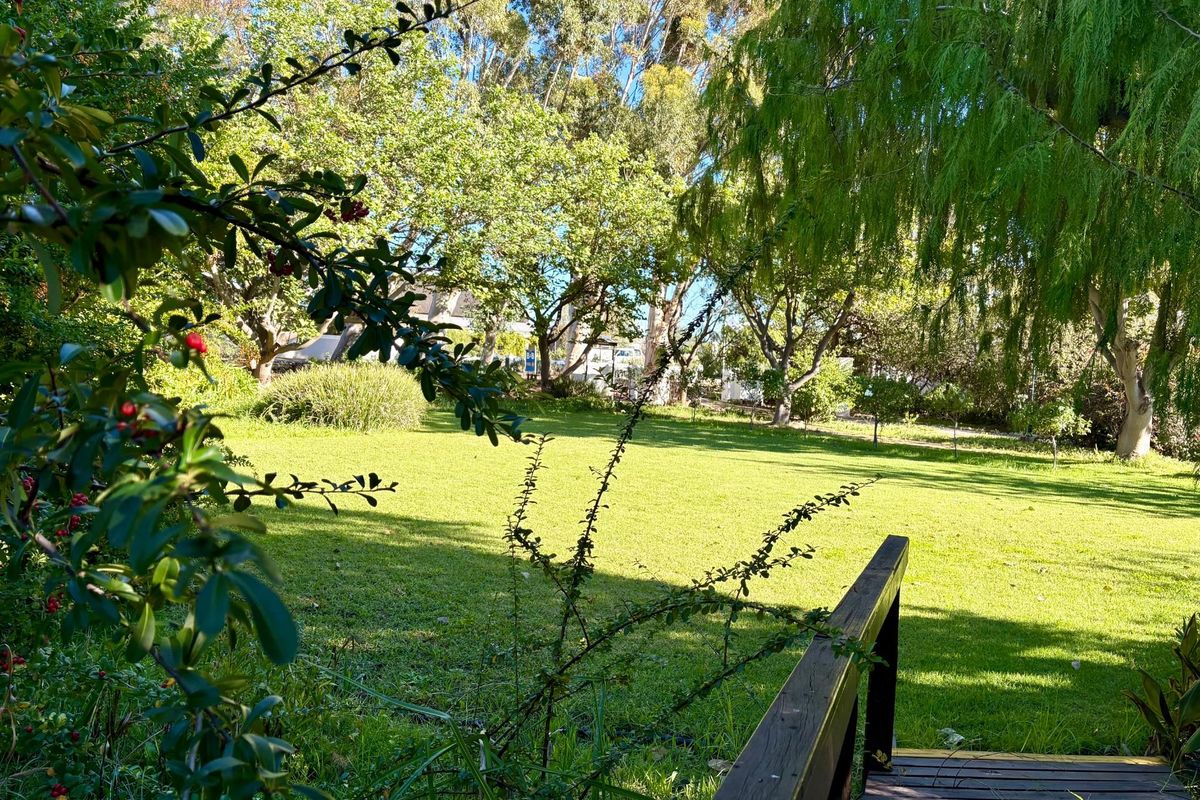 Prime Guesthouse and Commercial Opportunity in the Heart of Prince Albert - Photo 5