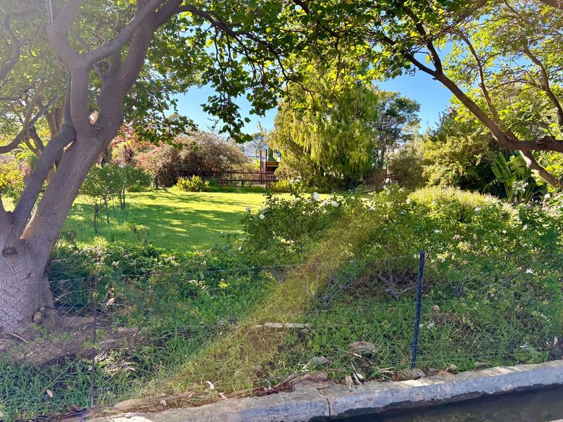 Prime Guesthouse and Commercial Opportunity in the Heart of Prince Albert - Photo 2