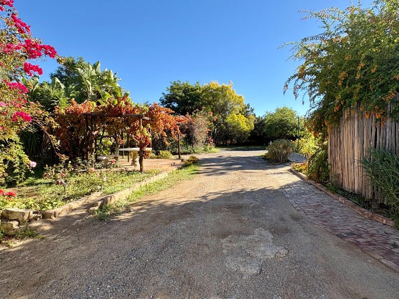Prime Guesthouse and Commercial Opportunity in the Heart of Prince Albert - Photo 8
