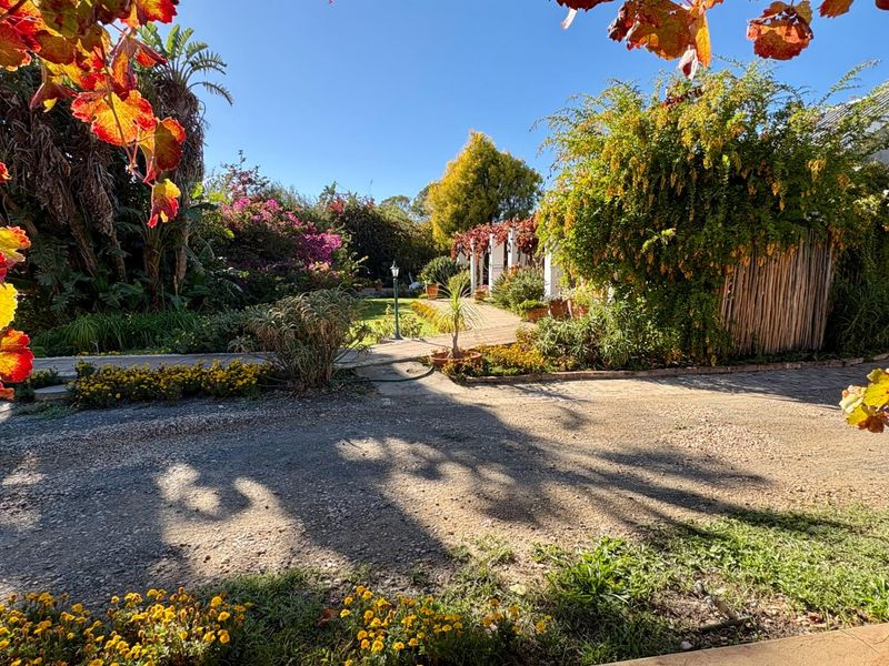 Prime Guesthouse and Commercial Opportunity in the Heart of Prince Albert - Photo 7