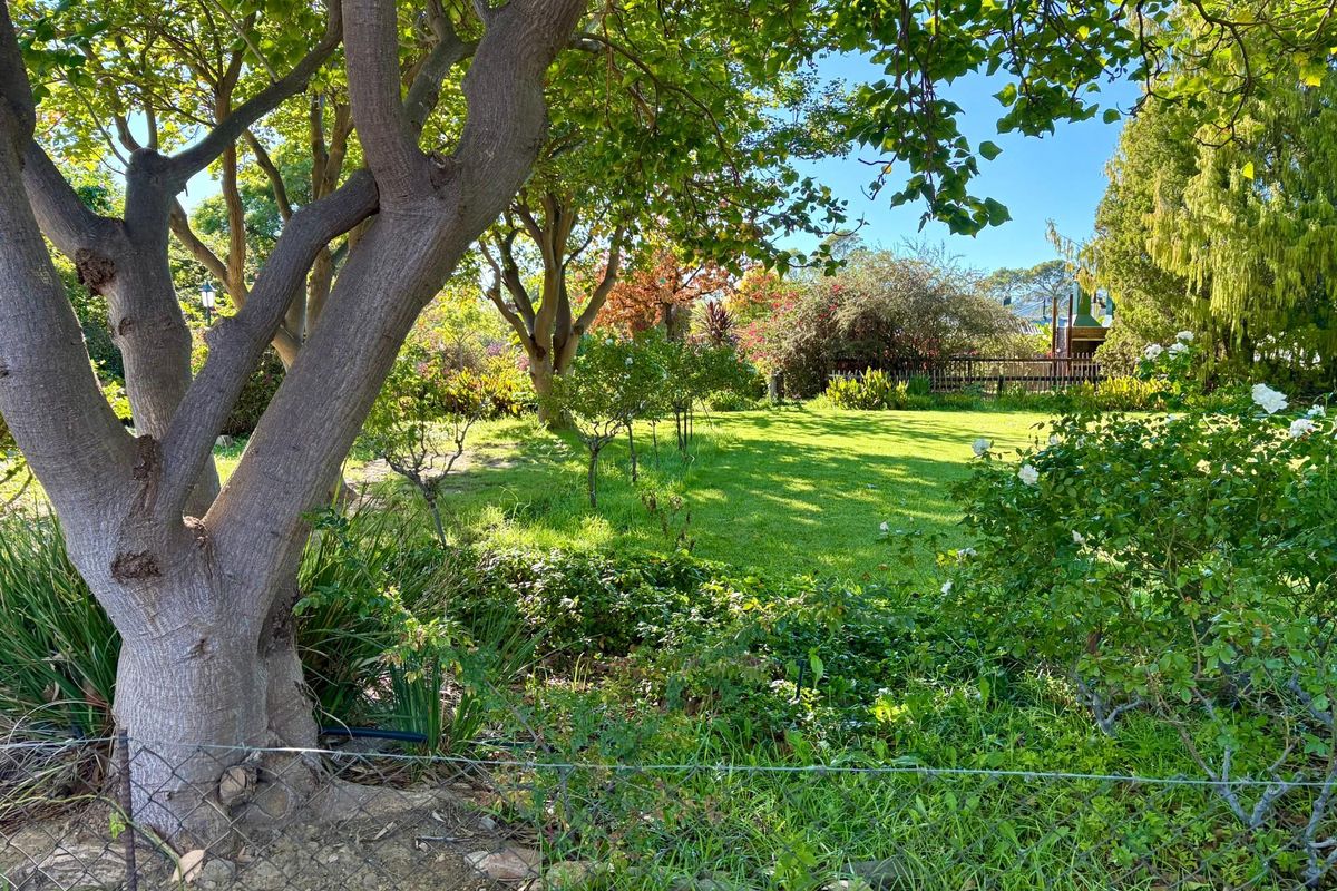 Prime Guesthouse and Commercial Opportunity in the Heart of Prince Albert - Photo 4