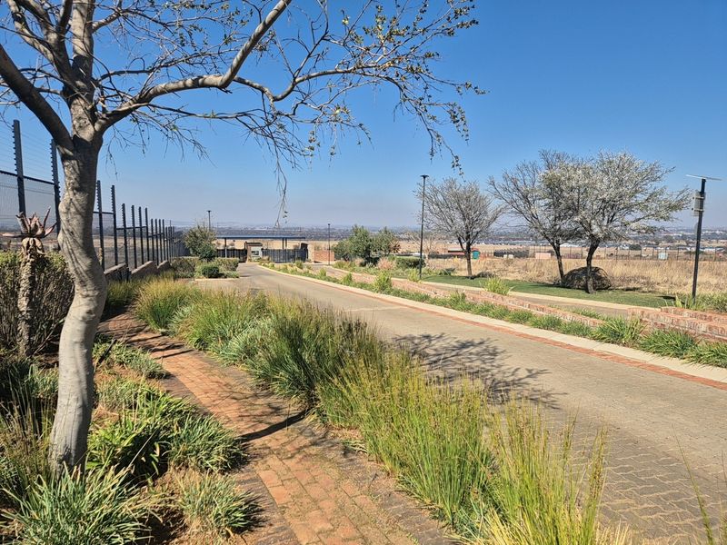 A view of a paved residential street within a secure estate, featuring manicured verges, brick edging, and perimeter electric fencing.