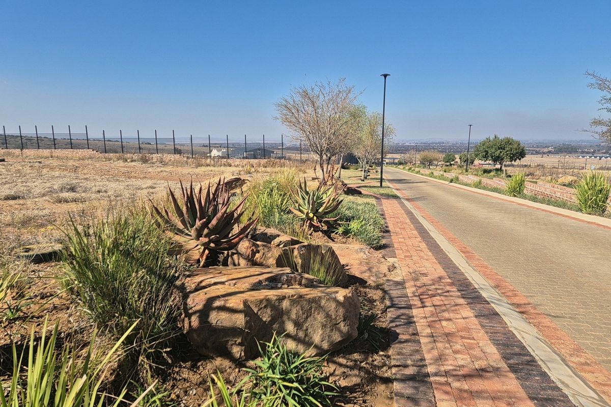 A view of the paved residential street and landscaped verge within the estate, featuring established plantings and perimeter fencing.