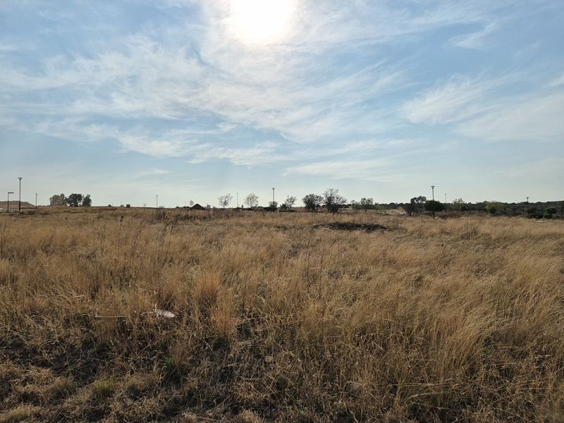 A wide-angle view of a vacant residential plot featuring dry grass and scattered street lighting poles under a clear sky.