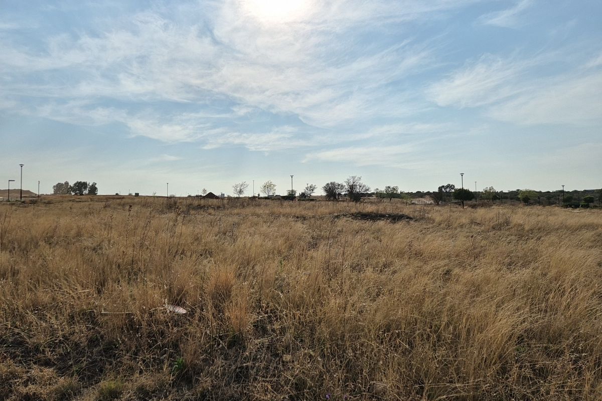 A wide-angle view of a vacant residential plot featuring dry grass and scattered street lighting poles under a clear sky.