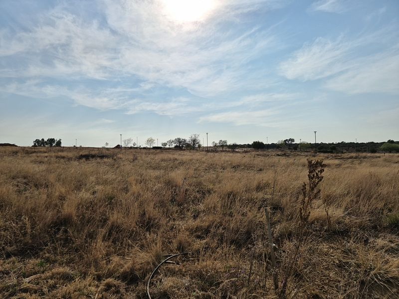 A wide-angle view of a vacant residential plot featuring dry grass and existing street lighting infrastructure.