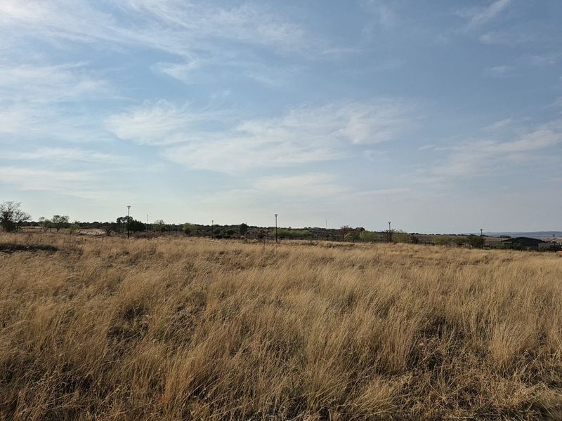 A wide-angle view of a vacant residential plot featuring dry grass, perimeter fencing, and installed street lighting poles.