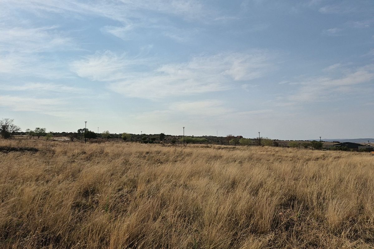 A wide-angle view of a vacant residential plot featuring dry grass, perimeter fencing, and installed street lighting poles.