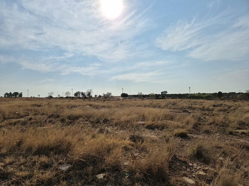 A wide-angle view of a vacant residential plot featuring dry grass and scattered street lighting infrastructure.