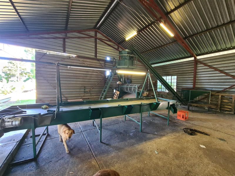 65Ha Macadamia Farm for Sale - Prime Agricultural Holding Near Nelspruit - Photo 5