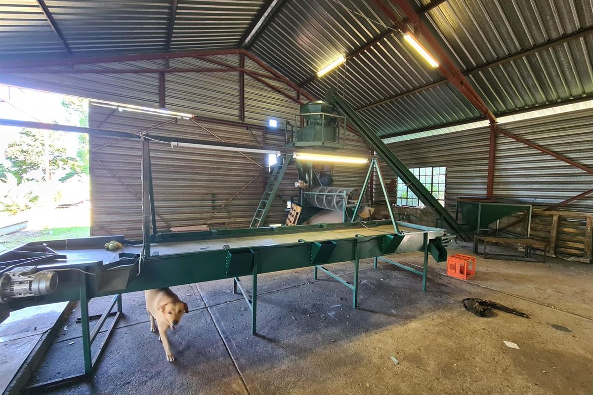 65Ha Macadamia Farm for Sale - Prime Agricultural Holding Near Nelspruit - Photo 5