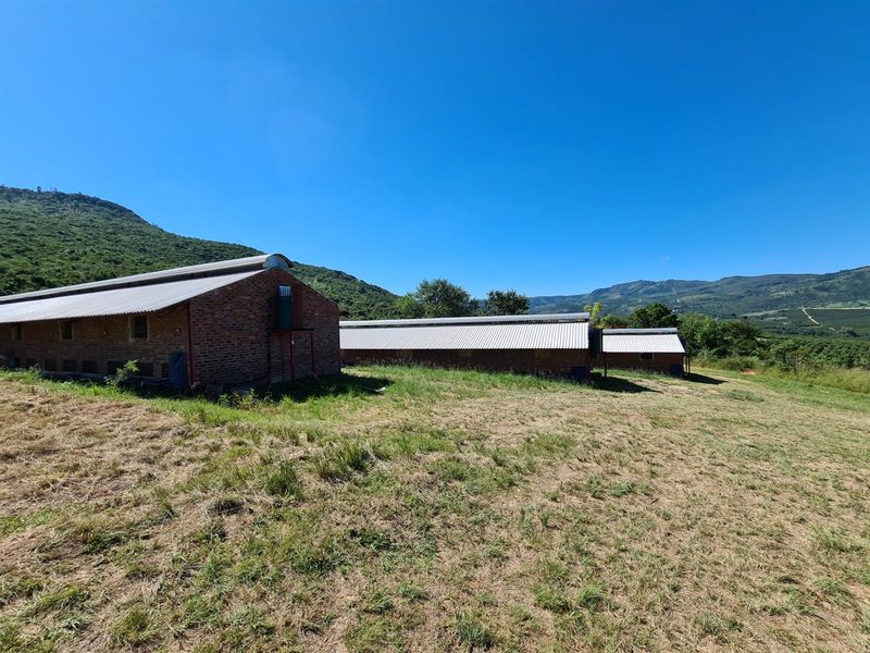 65Ha Macadamia Farm for Sale - Prime Agricultural Holding Near Nelspruit - Photo 3