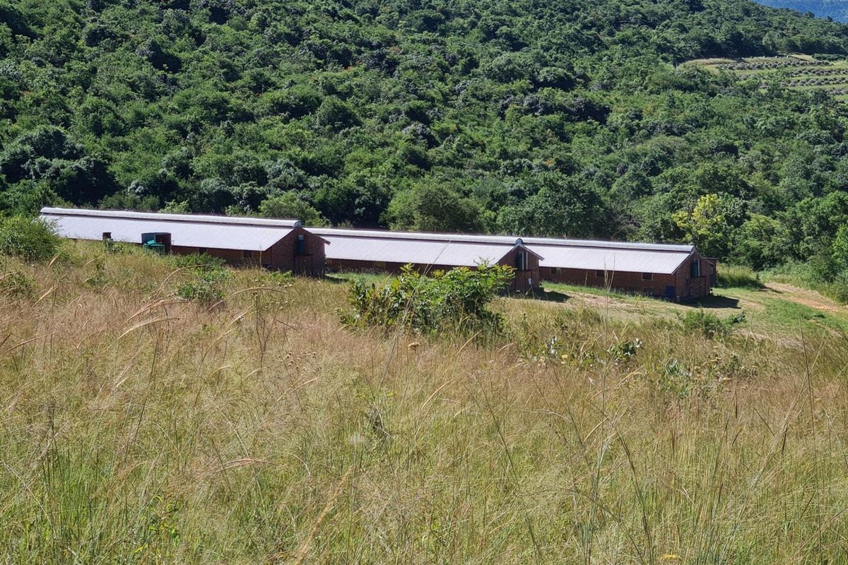 An elevated view of long, brick-built farm structures with metal roofing, situated on a grassy hillside against a backdrop of dense forest.