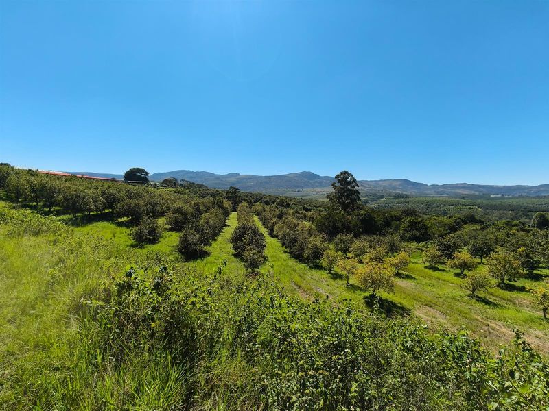Expansive view of the farm property featuring well-maintained orchard rows set against a scenic mountain backdrop.