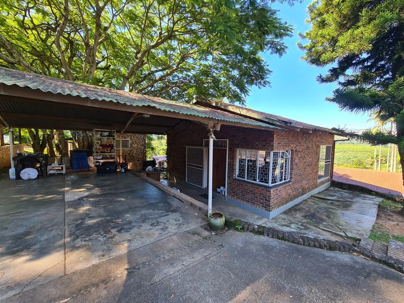 65Ha Macadamia Farm for Sale - Prime Agricultural Holding Near Nelspruit - Photo 7
