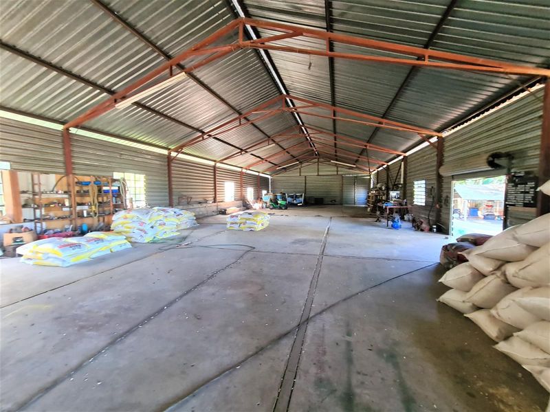 65Ha Macadamia Farm for Sale - Prime Agricultural Holding Near Nelspruit - Photo 10