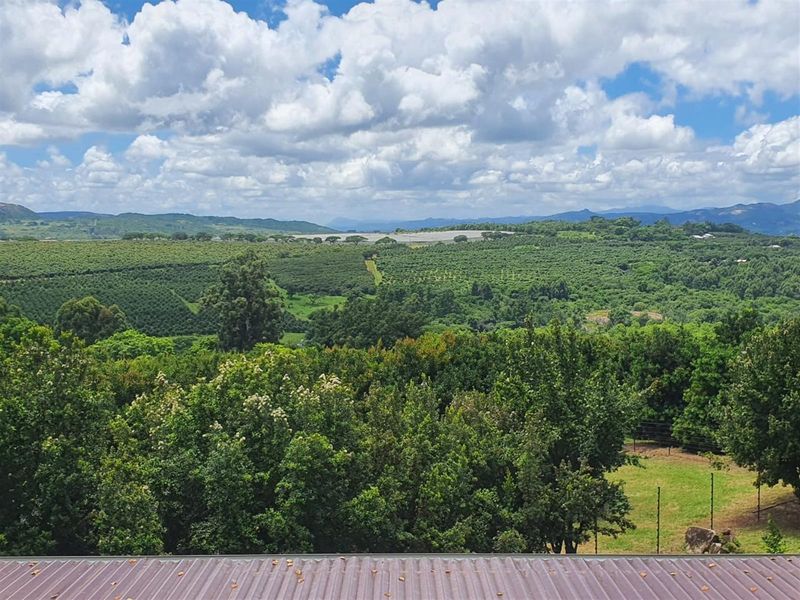 65Ha Macadamia Farm for Sale - Prime Agricultural Holding Near Nelspruit - Photo 9