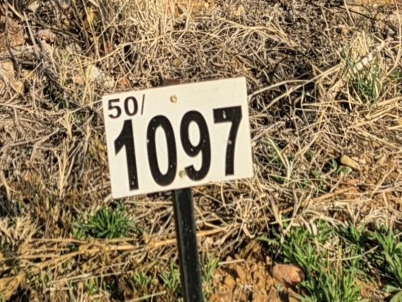 A close-up view of a property identification marker or lot number sign located on vacant land.