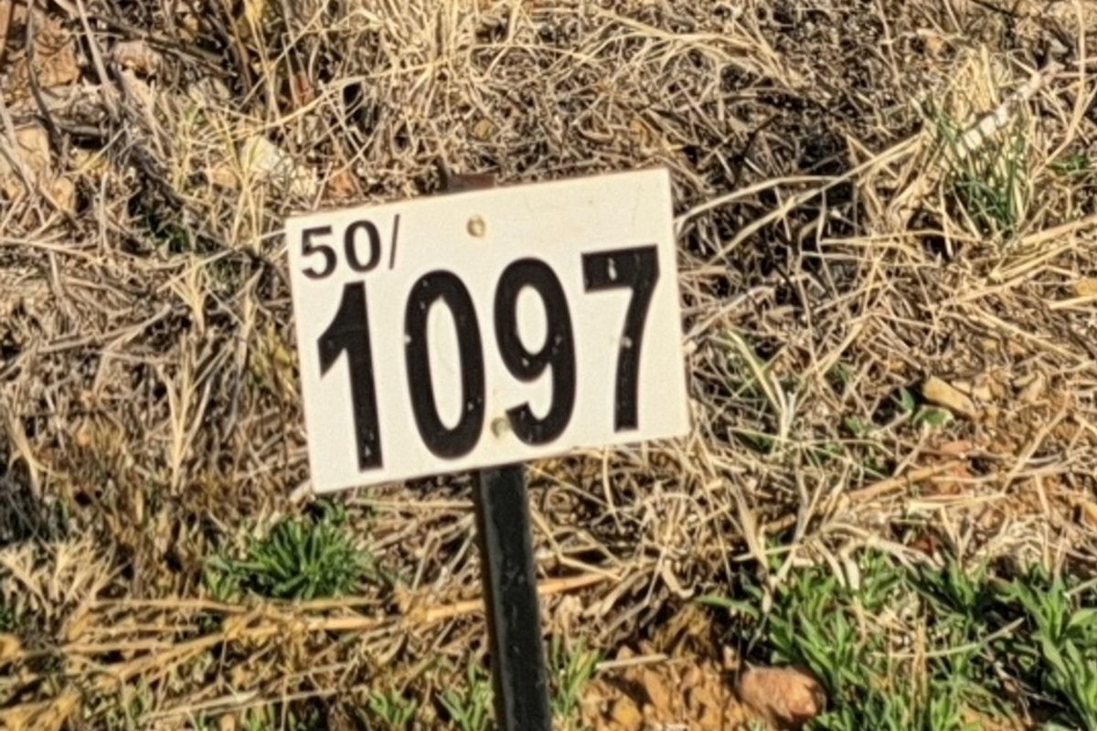A close-up view of a property identification marker or lot number sign located on vacant land.