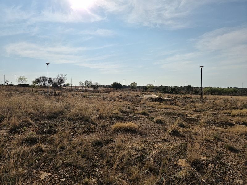 A view of a vacant residential plot featuring dry grass, scattered trees, and installed street lighting poles.
