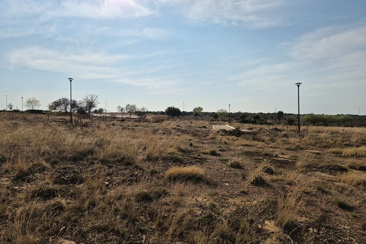 A view of a vacant residential plot featuring dry grass, scattered trees, and installed street lighting poles.