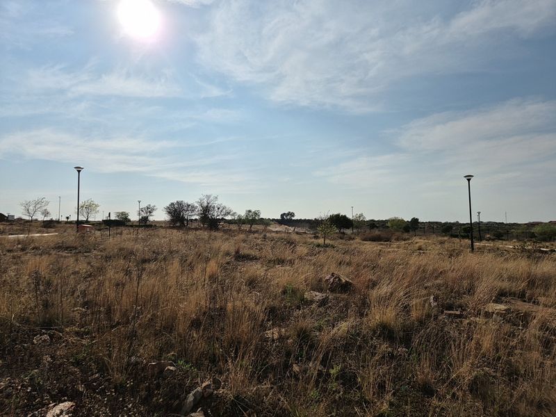A wide-angle view of a vacant residential plot featuring natural dry grass landscape and installed street lighting poles.