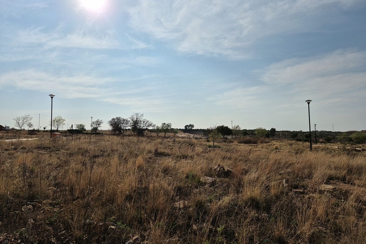 A wide-angle view of a vacant residential plot featuring natural dry grass landscape and installed street lighting poles.