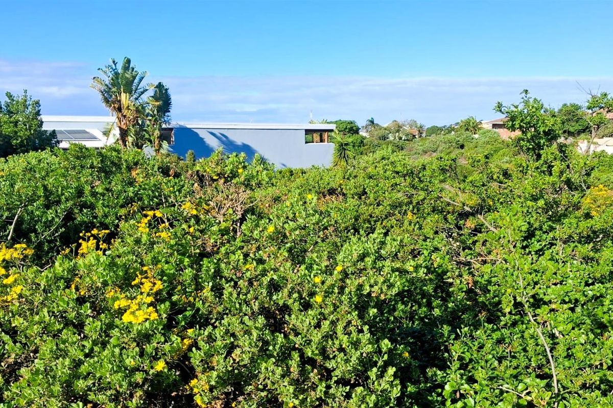 700sqm Vacant Stand for Sale in Noorsekloof | Prime Kloof Front Land in Jeffreys Bay - Photo 4