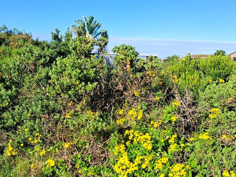 700sqm Vacant Stand for Sale in Noorsekloof | Prime Kloof Front Land in Jeffreys Bay - Photo 5