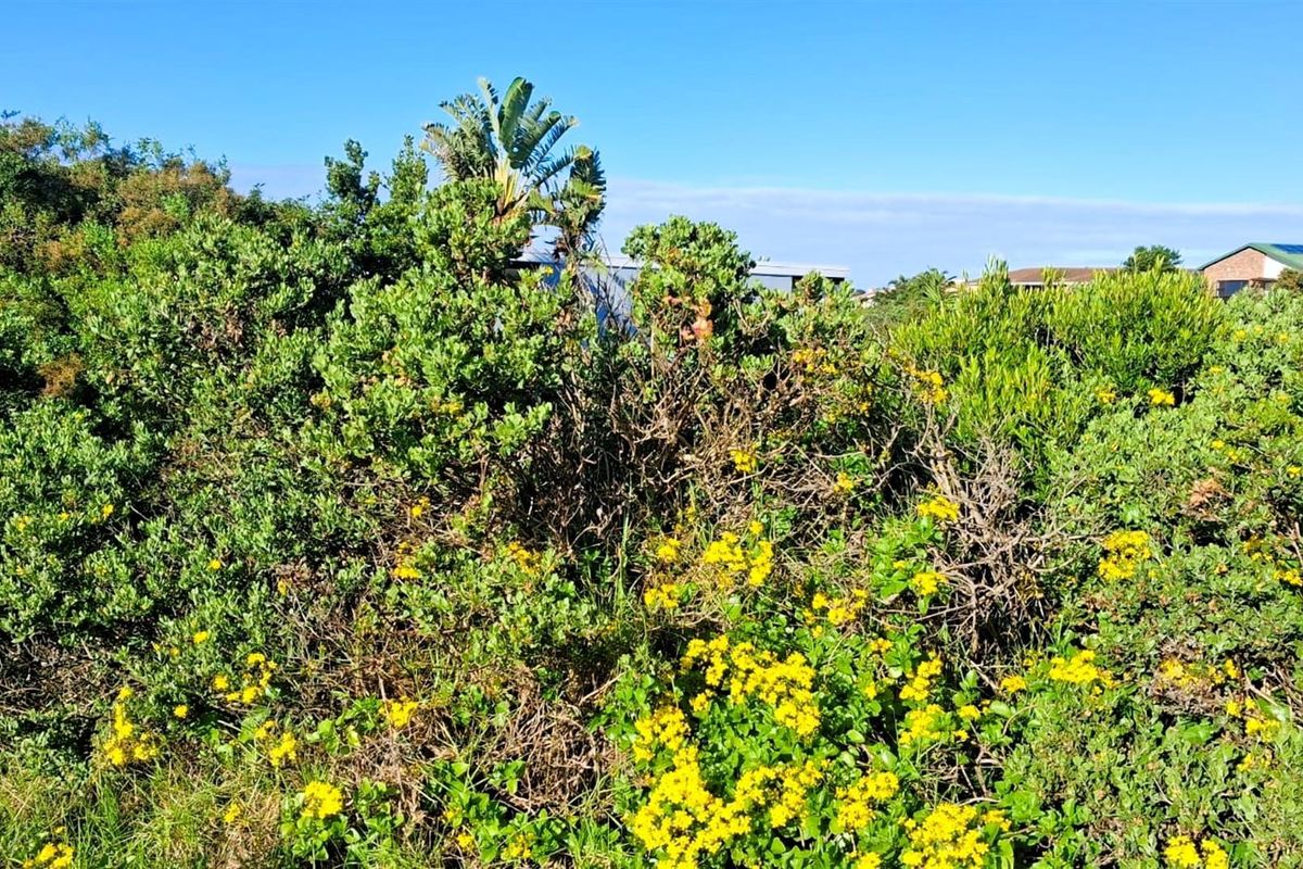 700sqm Vacant Stand for Sale in Noorsekloof | Prime Kloof Front Land in Jeffreys Bay - Photo 5