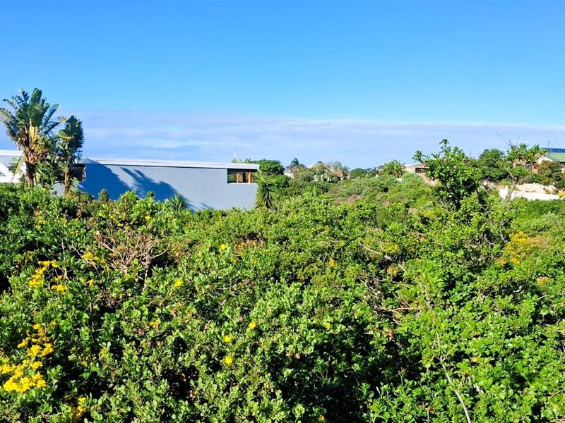 700sqm Vacant Stand for Sale in Noorsekloof | Prime Kloof Front Land in Jeffreys Bay - Photo 8