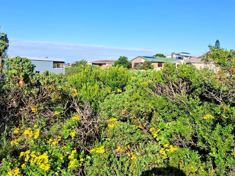 700sqm Vacant Stand for Sale in Noorsekloof | Prime Kloof Front Land in Jeffreys Bay - Photo 6