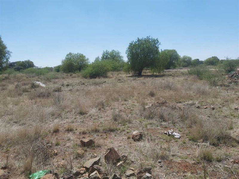 A view of a vacant residential plot featuring natural vegetation and mature trees, offering a blank canvas for future development.