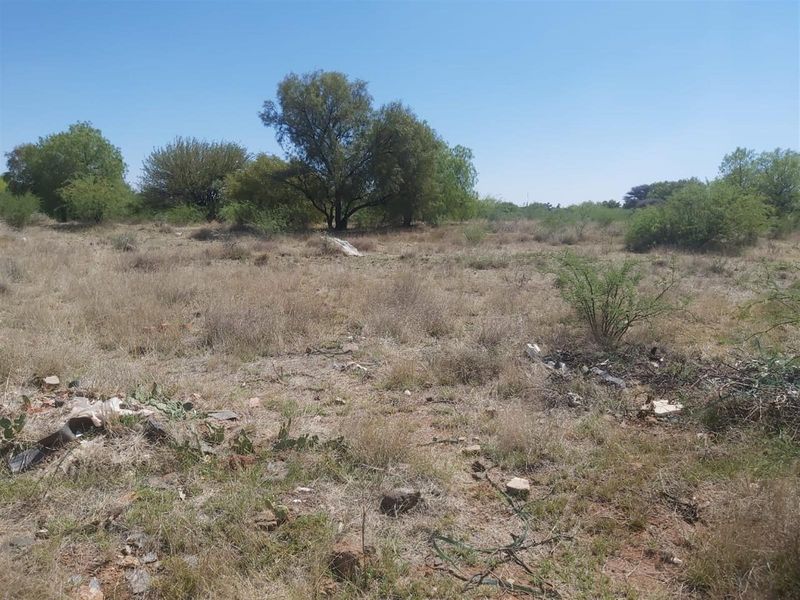 A view of the vacant residential land featuring natural vegetation and mature trees, offering a blank canvas for future development.