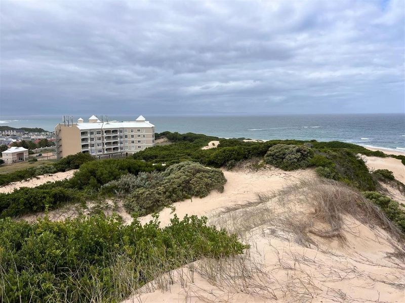 An elevated view of coastal dunes and natural vegetation overlooking the ocean and nearby residential apartment complex.