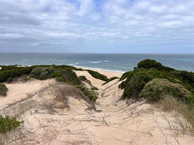 A scenic view of the coastal landscape featuring natural sand dunes and native vegetation leading down to the ocean.
