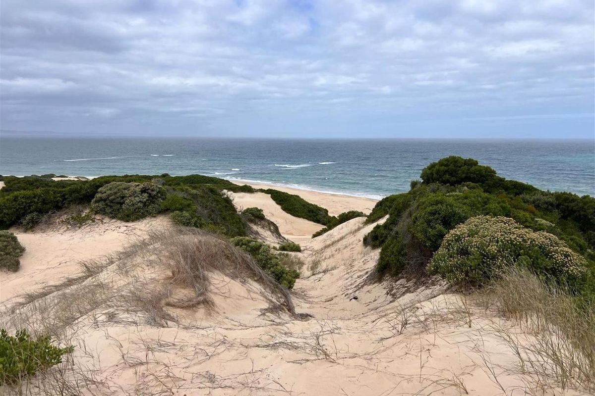 A scenic view of the coastal landscape featuring natural sand dunes and native vegetation leading down to the ocean.