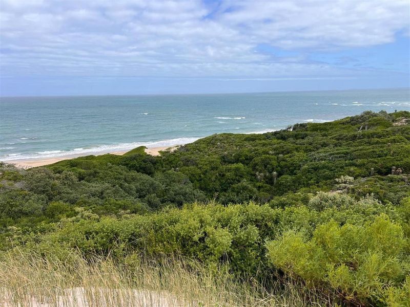 A scenic elevated view overlooking lush coastal vegetation and the ocean, showcasing the natural landscape of the vacant residential property.