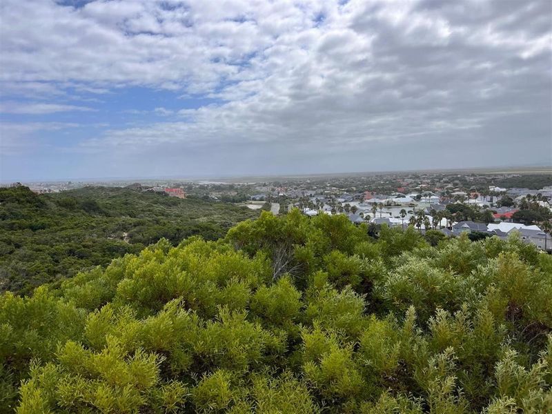 Elevated view overlooking the surrounding coastal landscape, native vegetation, and nearby residential development.