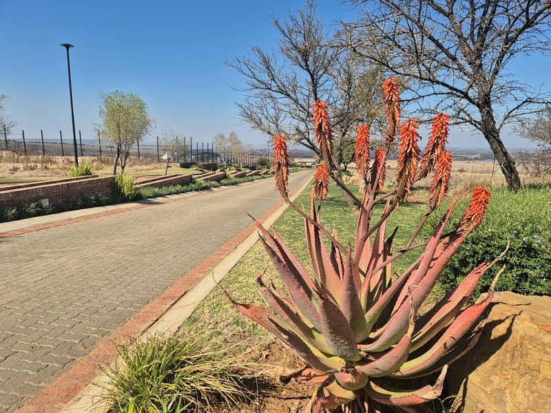 A well-maintained paved driveway leading through the residential estate, featuring established landscaping, brick retaining walls, and perimeter security fencing.