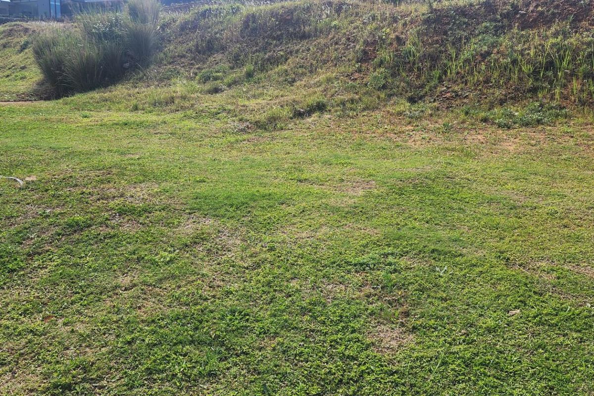 Vacant Land For Sale in  Gold Coast, Sibaya Precinct, Umhlanga, KwaZulu Natal - Photo 3