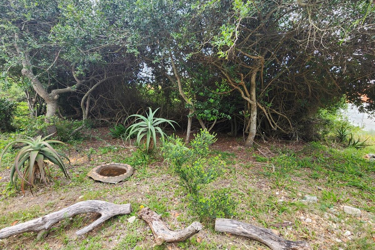Level Vacant Land For Sale in Aston Bay, Jeffreys Bay - Photo 4