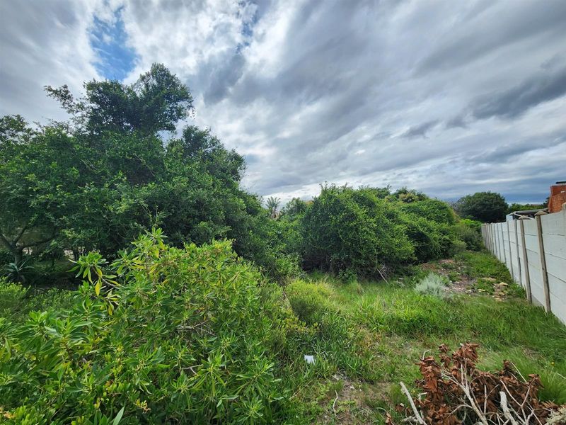 Level Vacant Land For Sale in Aston Bay, Jeffreys Bay - Photo 3