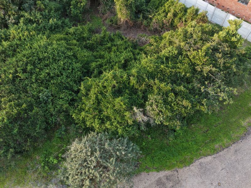 Level Vacant Land For Sale in Aston Bay, Jeffreys Bay - Photo 2