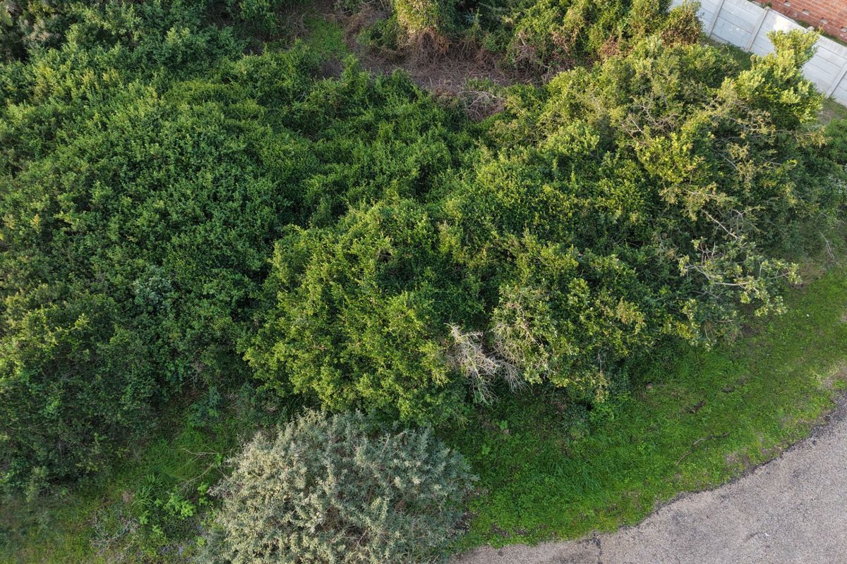 Aerial view of a vacant residential plot featuring dense natural vegetation and a perimeter boundary wall.