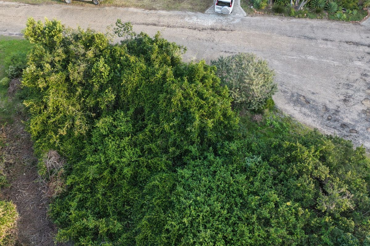 An aerial view of a vacant residential plot featuring dense natural vegetation and bordering a paved street.